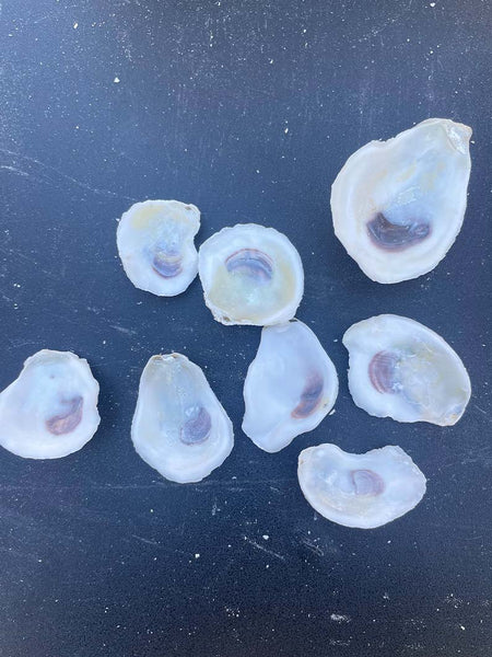 Tiny Shells