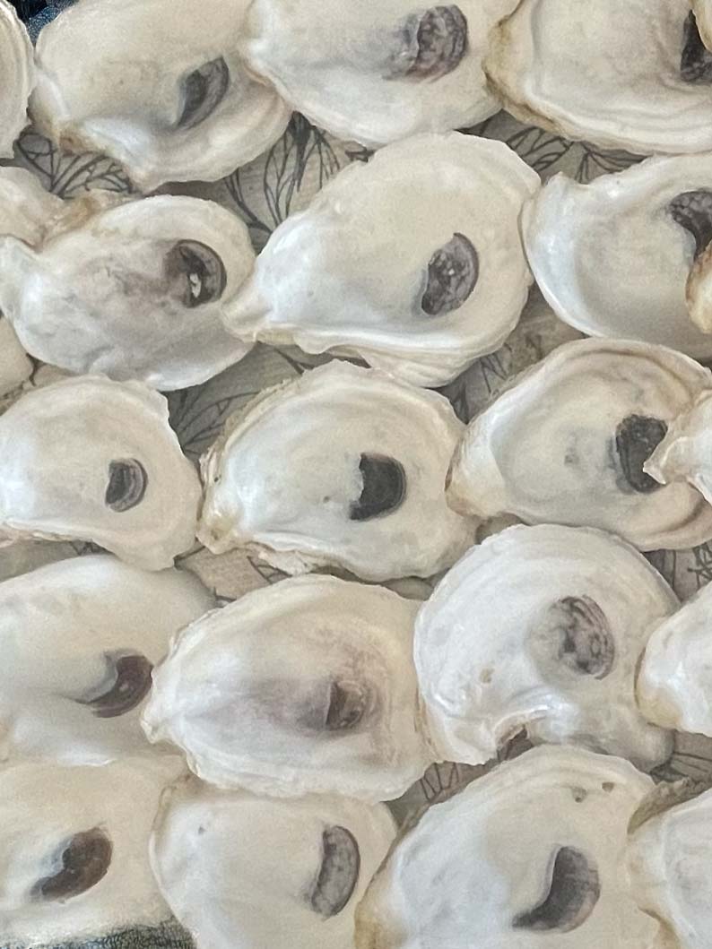 Wedding Oyster Shells for place cards