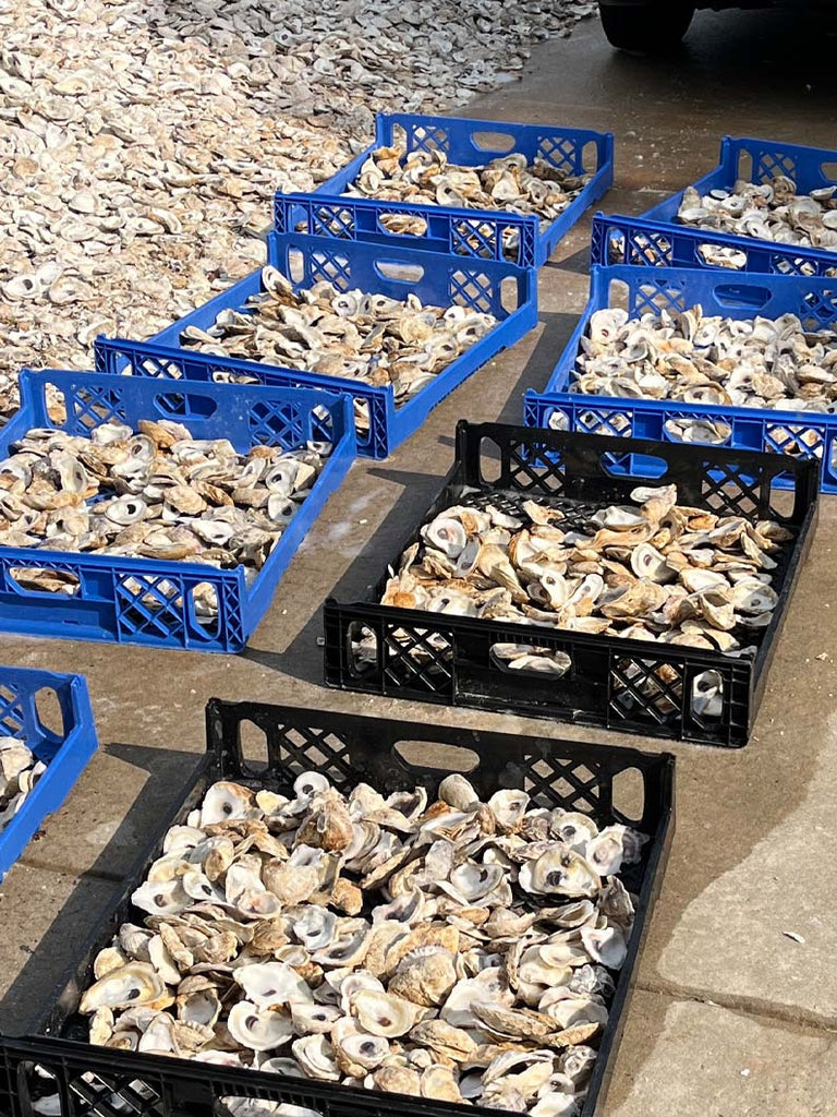 Crushed Oyster Shells for Landscaping | Bulk Landscaping Shells ...