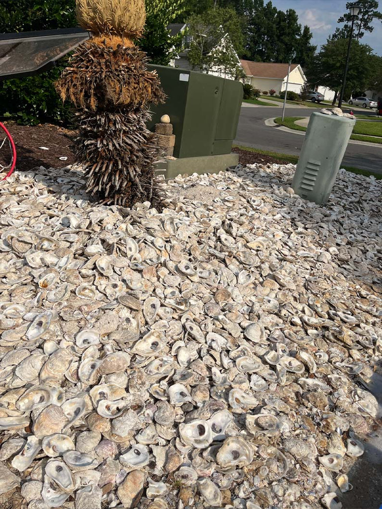 Crushed Oyster Shells for Landscaping | Bulk Landscaping Shells ...