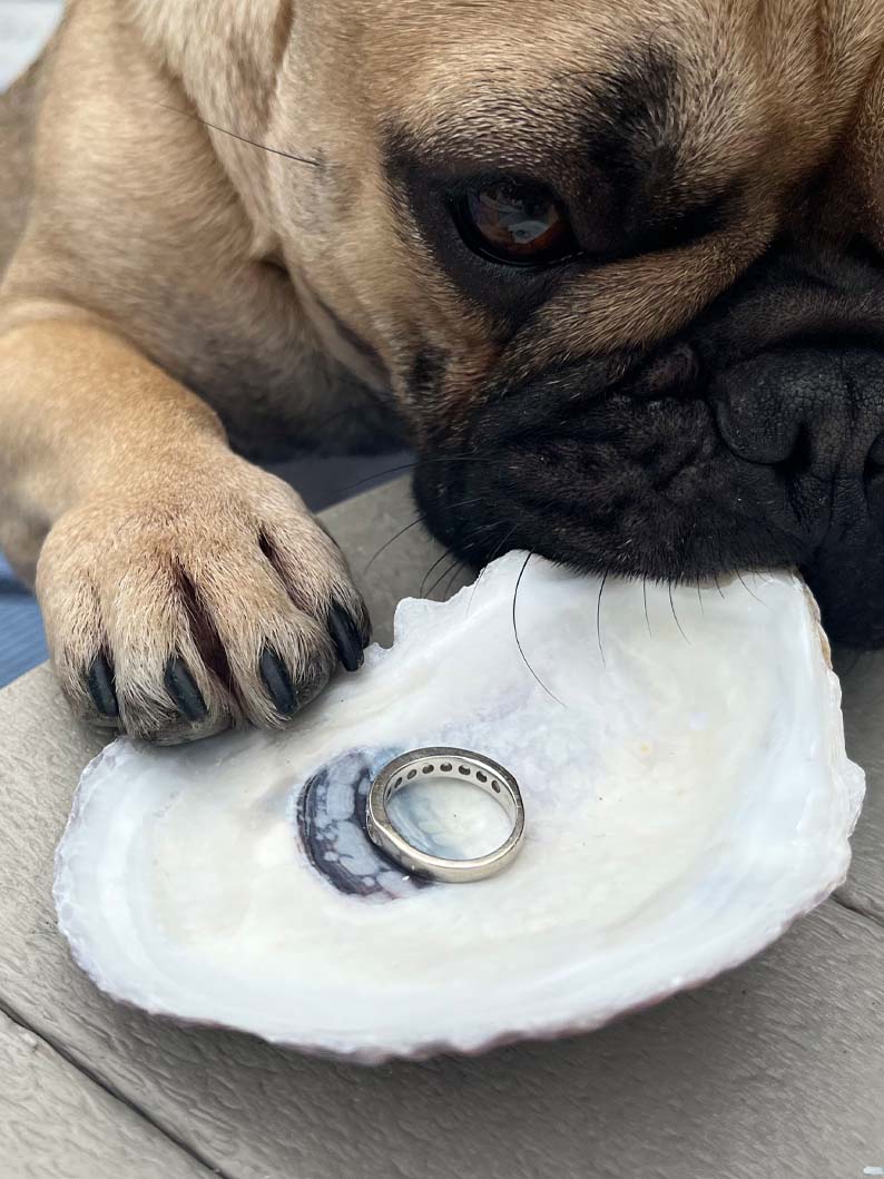 Wedding Oyster Shells for place cards