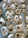 Wedding Oyster Shells for Place Cards | Oyster Shells sells