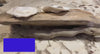 Flats Oyster Shell | Oyster Shells | Sea Shells | Oyster Shell Sells